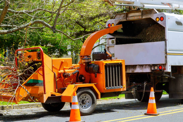 Best Tree Risk Assessment  in Sand Hill, PA